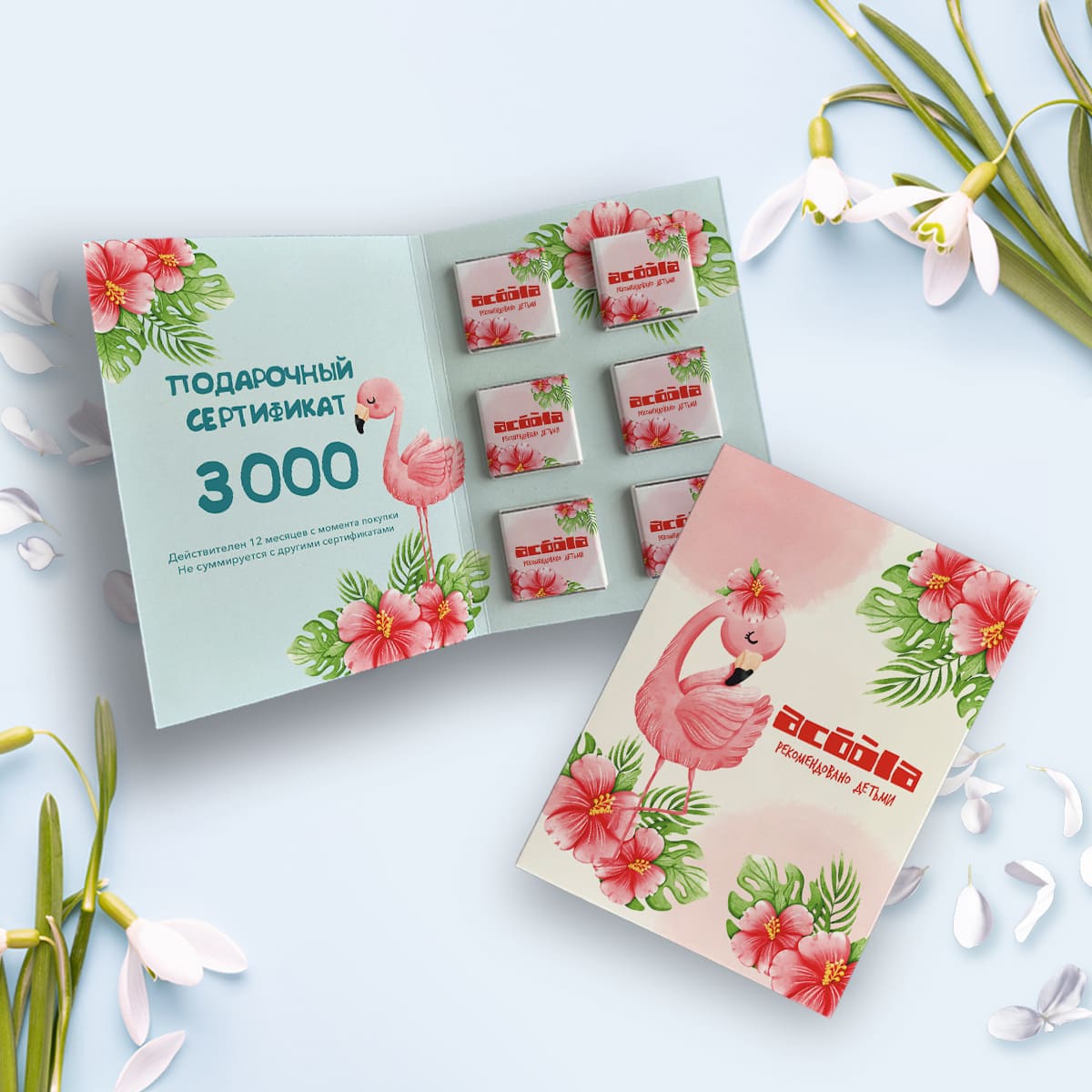 Открытка (6 шоколадок 5 гр) #000642